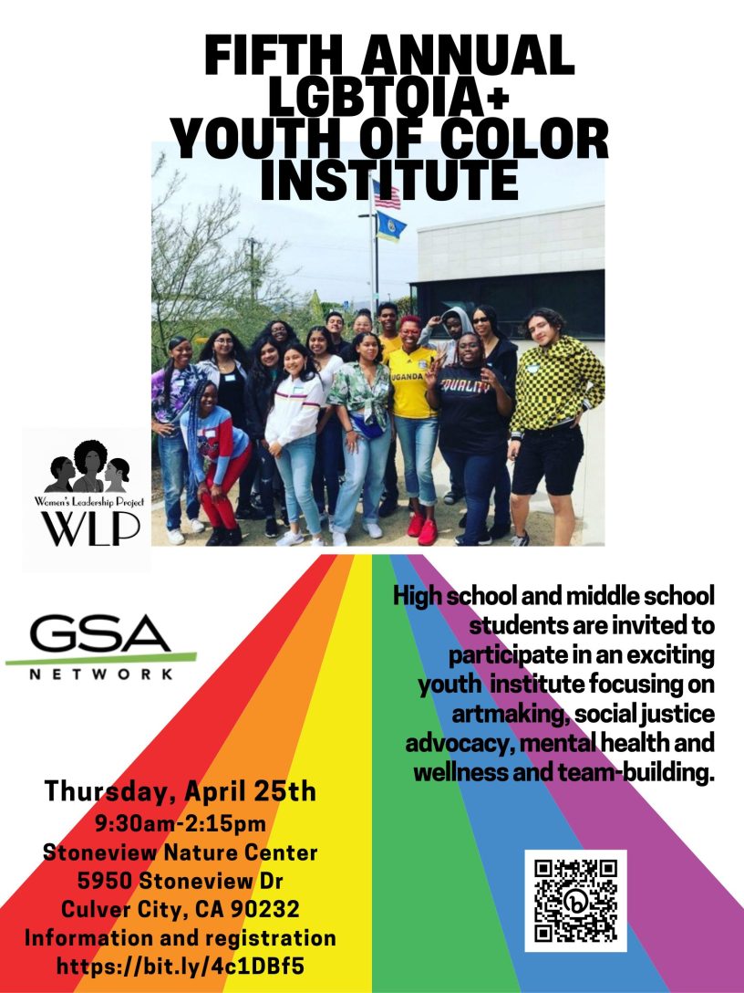 Copy of LGBTQ Youth of color institute